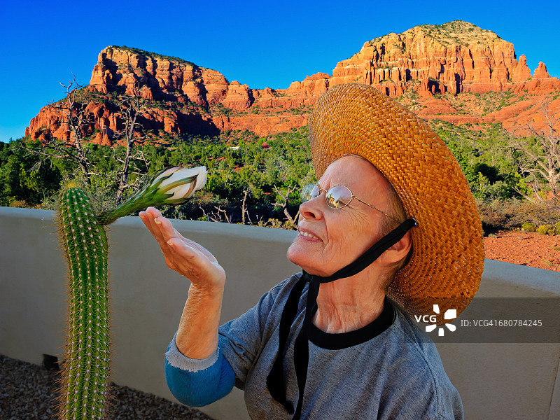 年长妇女看着金色火炬仙人掌花，亚利桑那州，美国，美国图片素材