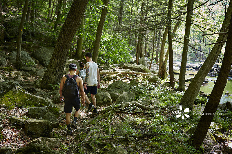 一群朋友徒步穿越纽约哈里曼州立公园的森林图片素材