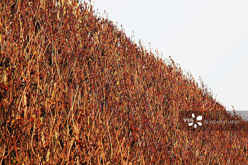 圣克卢公园秋景图片素材