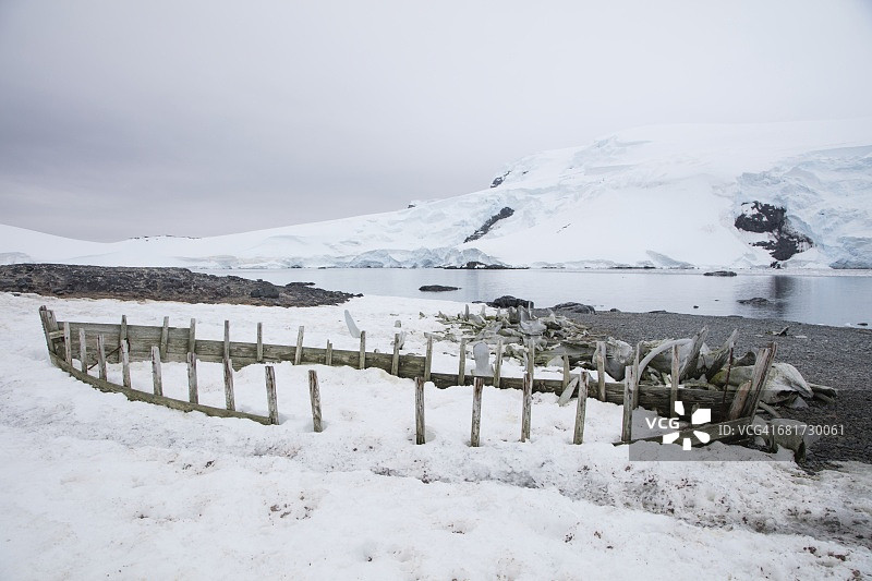 海滩上的捕鲸船残骸和鲸鱼骨骼图片素材