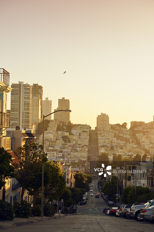 美国加利福尼亚州旧金山，从俄罗斯山联合街看到的景色图片素材