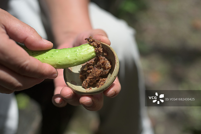 日式黄瓜味噌图片素材