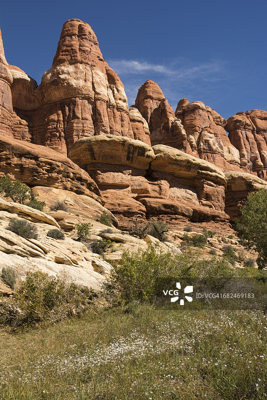峡谷地国家公园大象峡谷景观图片素材