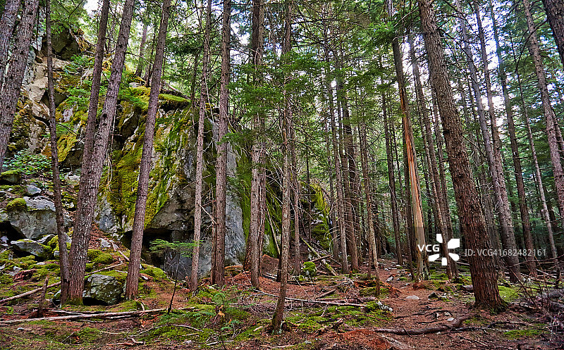 伯肯黑德湖省立公园图片素材