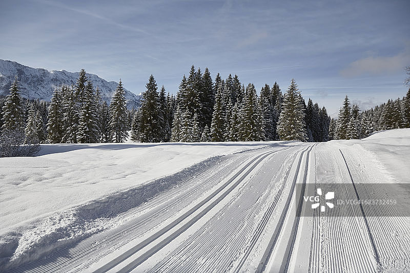 在德国巴伐利亚州埃尔毛，雪地景观上的轮胎痕迹和冷杉树图片素材
