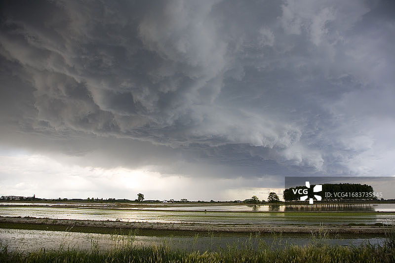 意大利皮埃蒙特诺瓦拉稻田图片素材