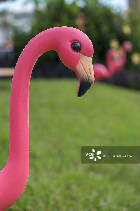 粉色塑料火烈鸟特写，新士麦那海滩，美国佛罗里达州图片素材