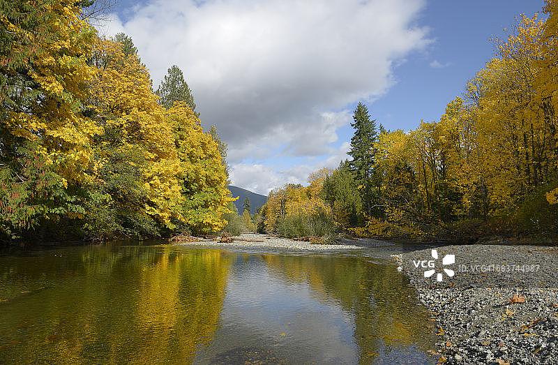 秋季罗伯逊河流入考伊琴湖，加拿大不列颠哥伦比亚省温哥华岛考伊琴谷图片素材