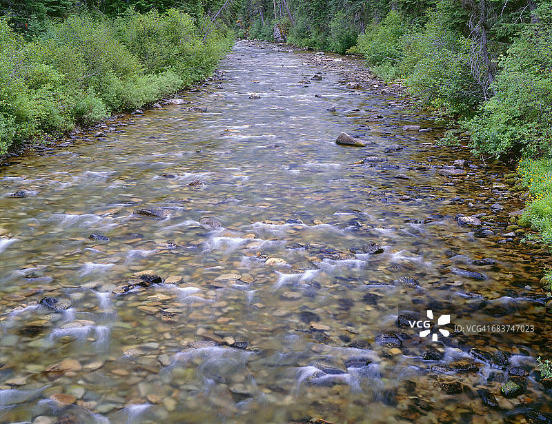 美国爱达荷州内兹珀斯国家森林塞尔韦河荒野图片素材