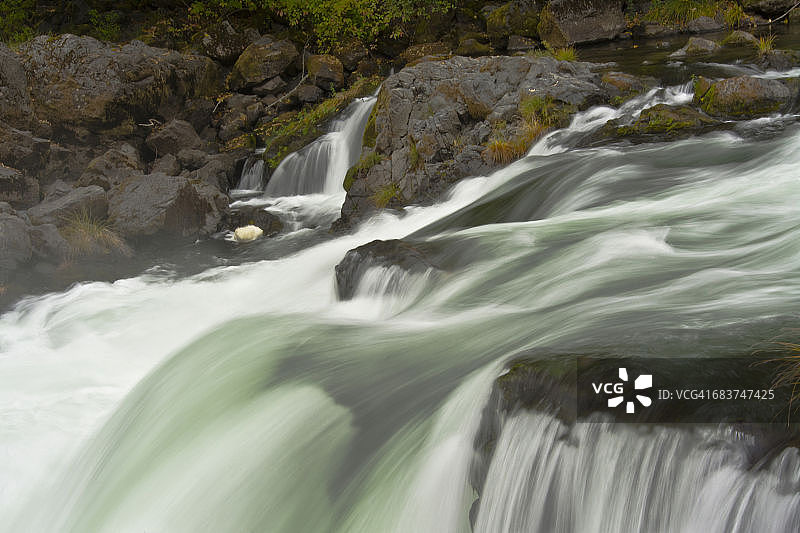 俄勒冈州安帕夸国家森林公园的秋季截止日图片素材