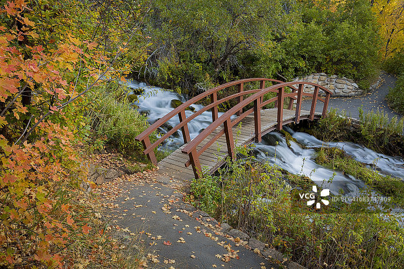 美国犹他州瓦萨奇-卡什国家森林：小溪上的桥梁图片素材