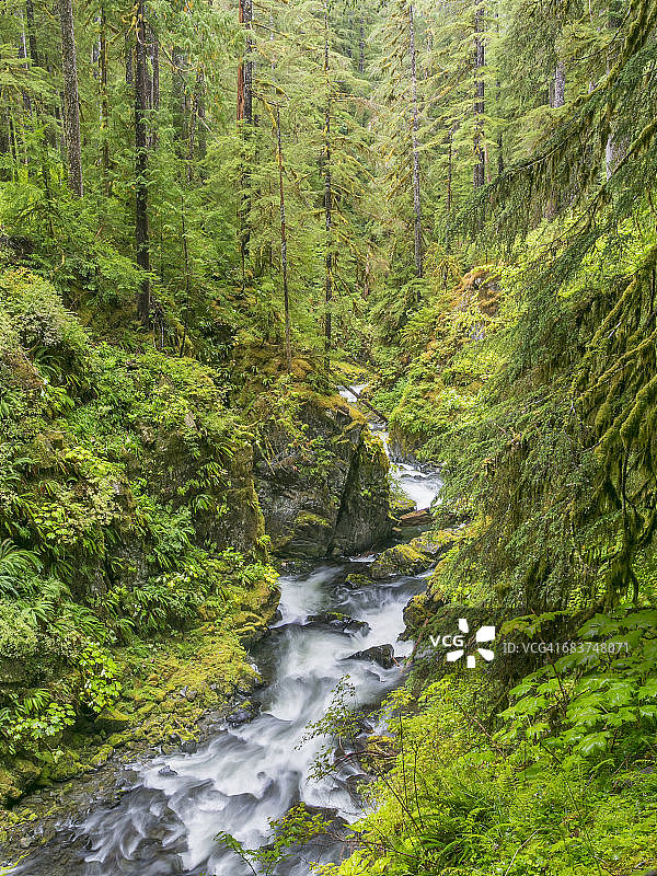 美国华盛顿州奥林匹克国家公园索尔杜克河风光图片素材