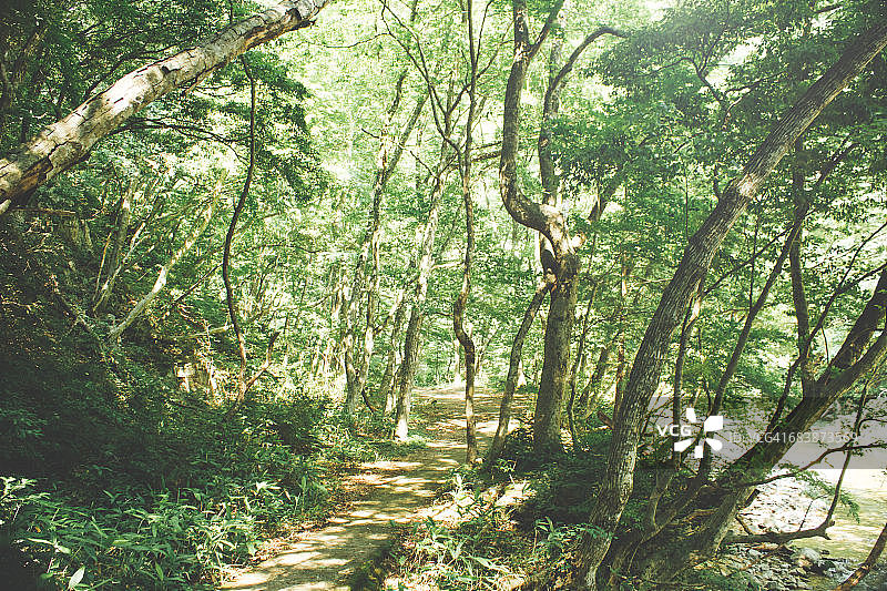 改变的概念图片素材