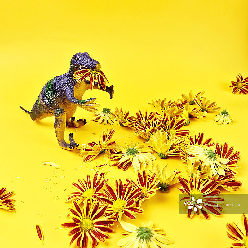 最好的月图片素材