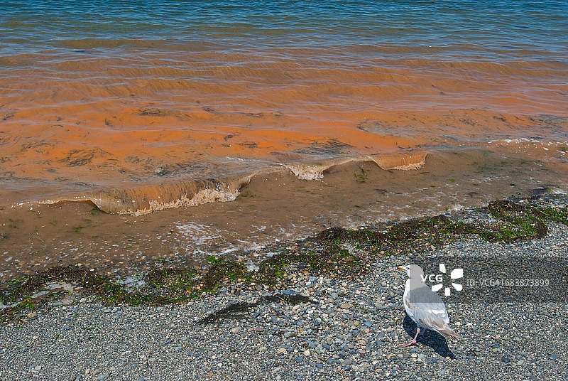 改变的概念图片素材