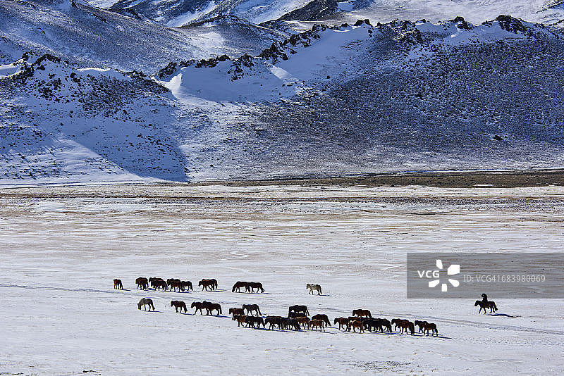 蒙古国：哈萨克族牧民的冬季迁徙图片素材