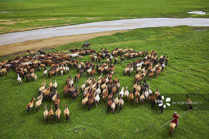 蒙古国马群与骑马者图片素材