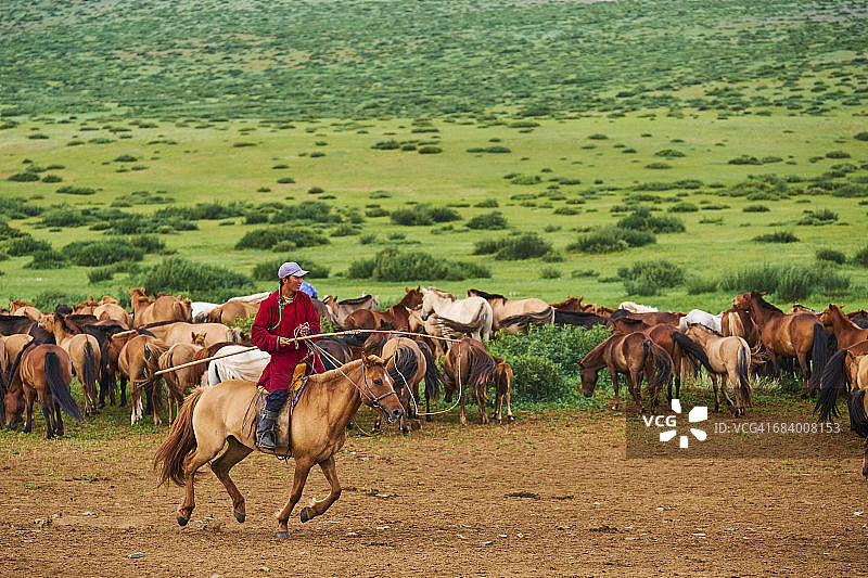 蒙古国马群与骑马者图片素材