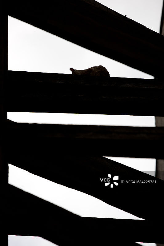 摩洛哥历史名城非斯图片素材