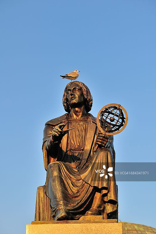 哥白尼上的海鸥图片素材