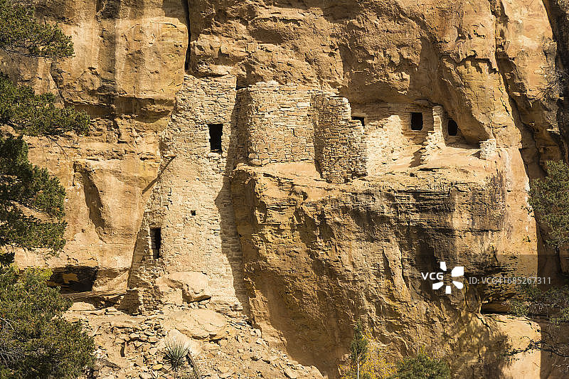 尤特山部落公园树屋遗址图片素材