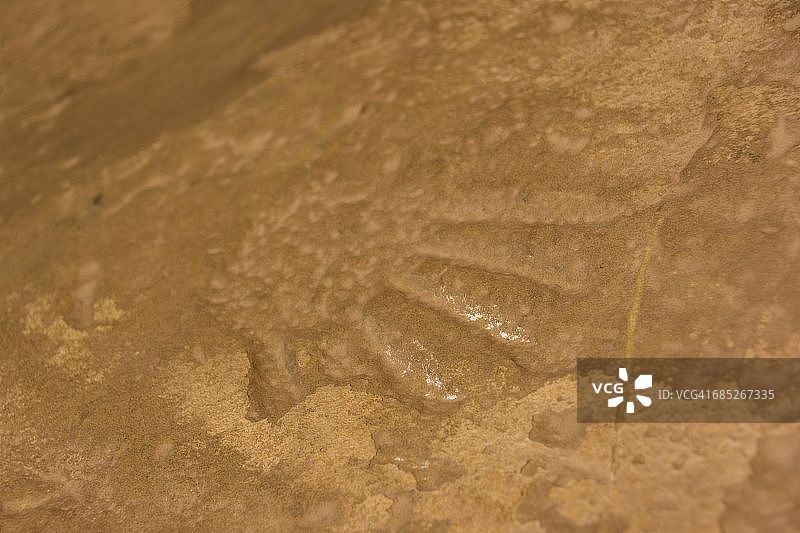 尤特山部落公园树屋遗址图片素材