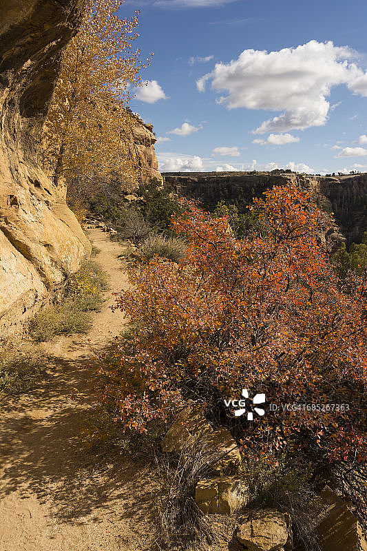 犹特山部落公园景观图片素材
