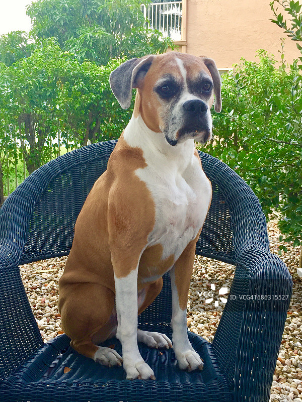 最好的月图片素材