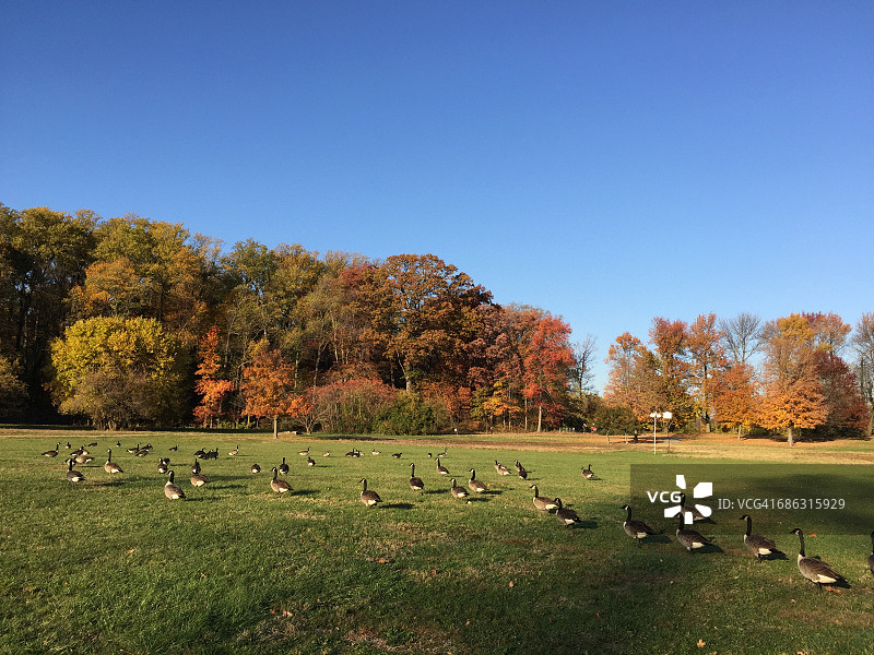 社区概念图片素材