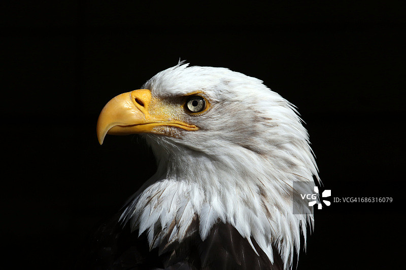 感恩的事情图片素材