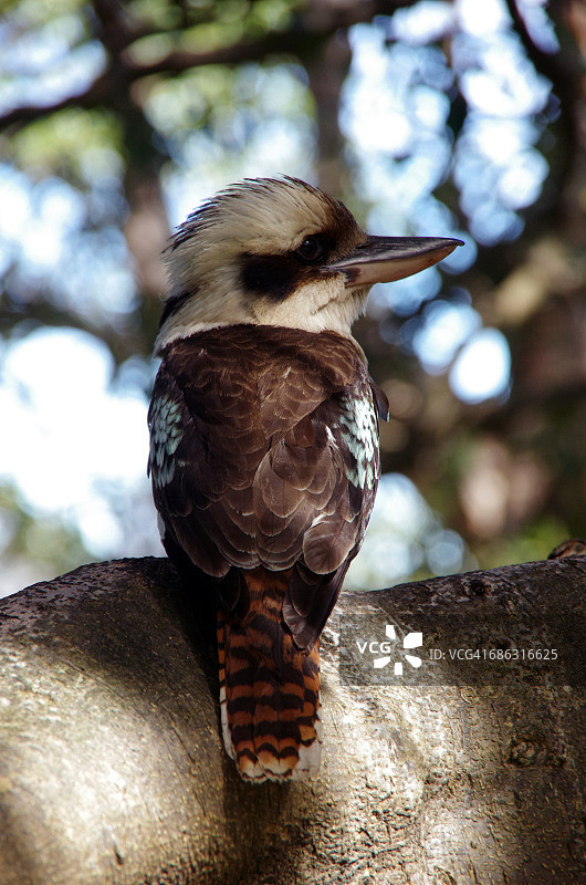 感恩的事情图片素材