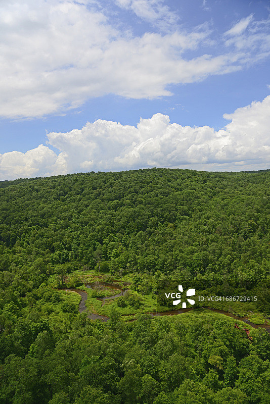 美国宾夕法尼亚州阿勒格尼国家森林公园的狭窄溪流图片素材