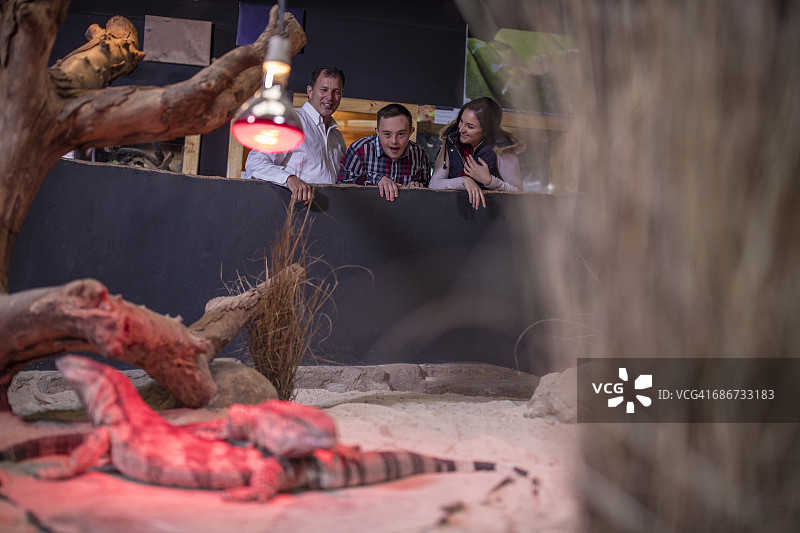 年轻男人和家人在爬行动物展看蜥蜴图片素材