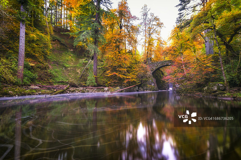英国，苏格兰，敦克尔德，布朗河的秋天树图片素材