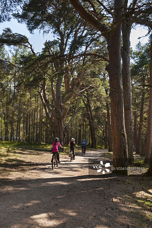 洛赫莫利希阿维莫尔骑行森林公园图片素材