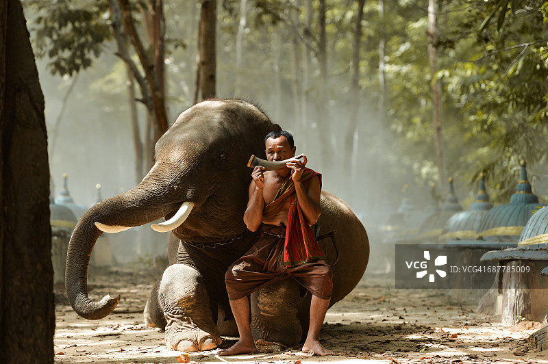 僧侣在泰国骑象演奏乐器图片素材