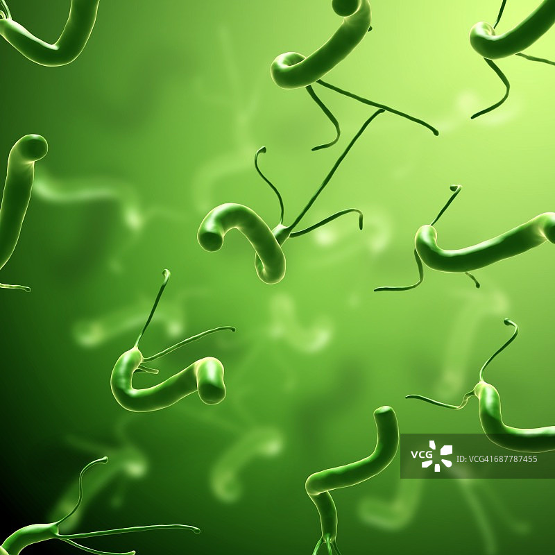 幽门螺杆菌示意图图片素材