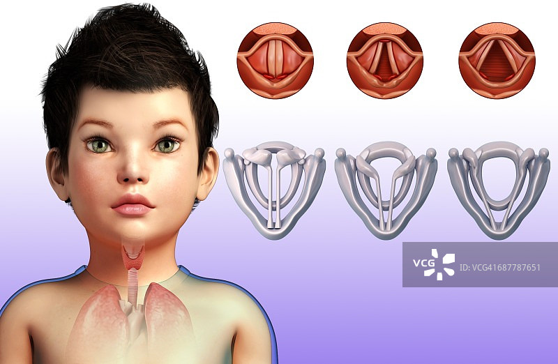 儿童声带插图图片素材