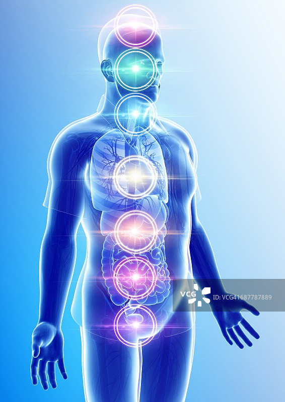 脉轮能量点，插图图片素材