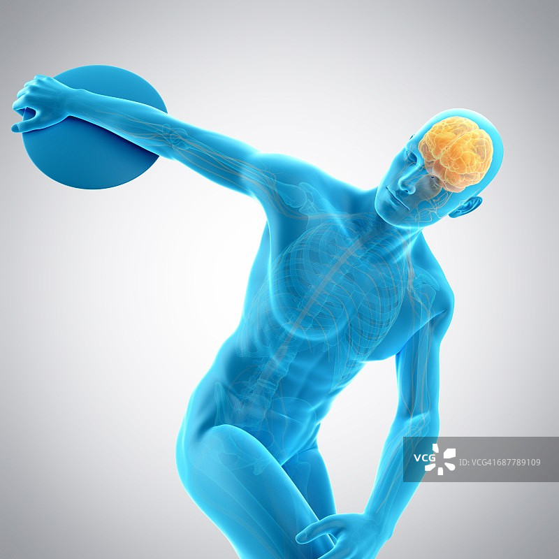 运动员掷铁饼大脑示意图图片素材