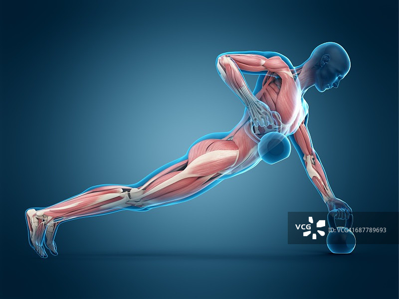 举起壶铃的人，插画图片素材