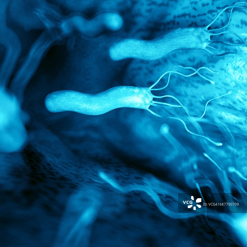 螺旋杆菌，图示图片素材