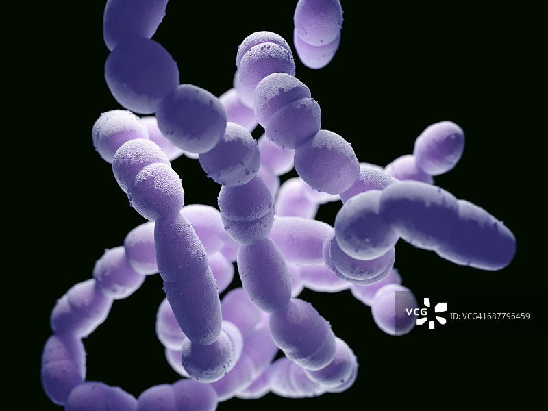 肺炎链球菌图片素材