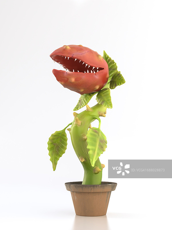 盆栽食虫植物图片素材