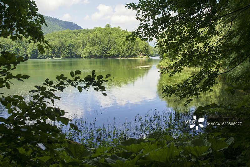 比奥格勒德斯卡戈拉森林图片素材
