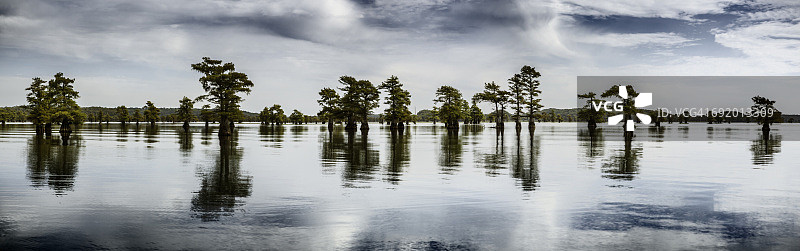 德克萨斯州不确定镇的卡多湖图片素材