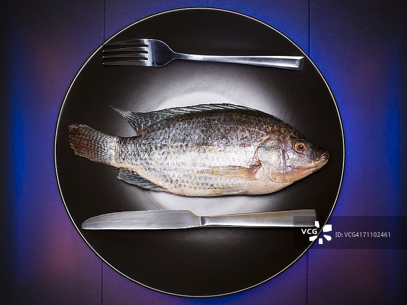 盘子里的一条鱼图片素材