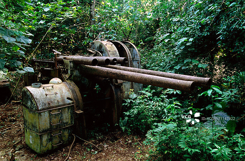 二战时期丛林中的日本枪炮，位于密克罗尼西亚联邦图片素材