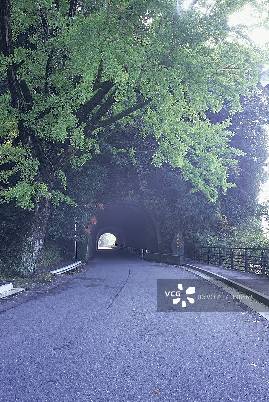 日本大分县中津市青野洞门图片素材