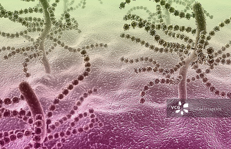 线性糖概念图图片素材